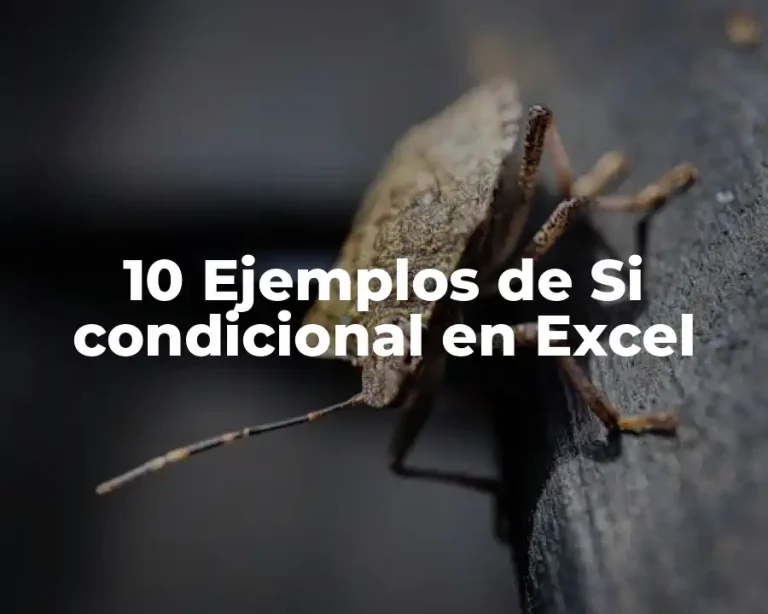 10 Ejemplos de Si condicional en Excel