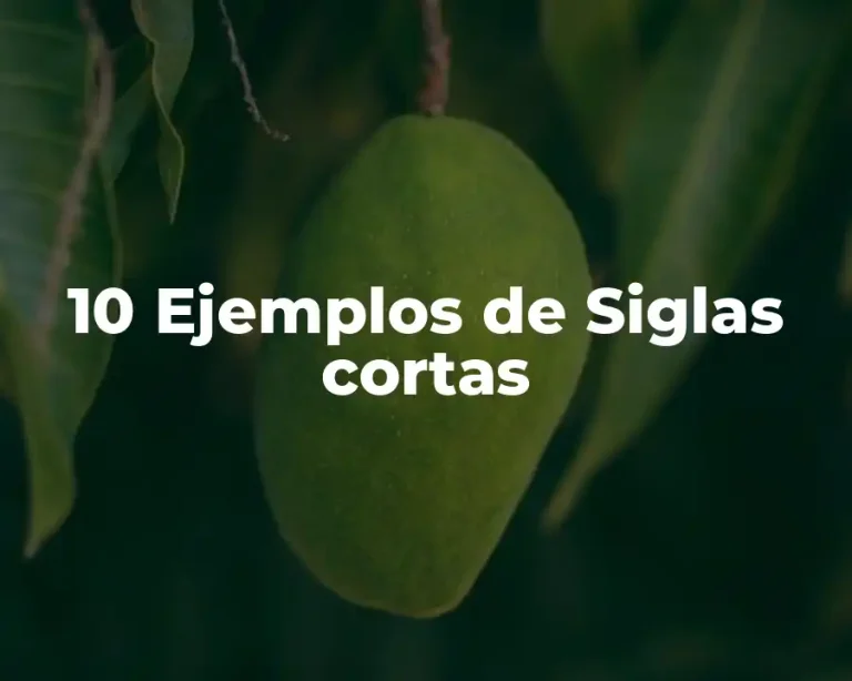 10 Ejemplos de Siglas cortas