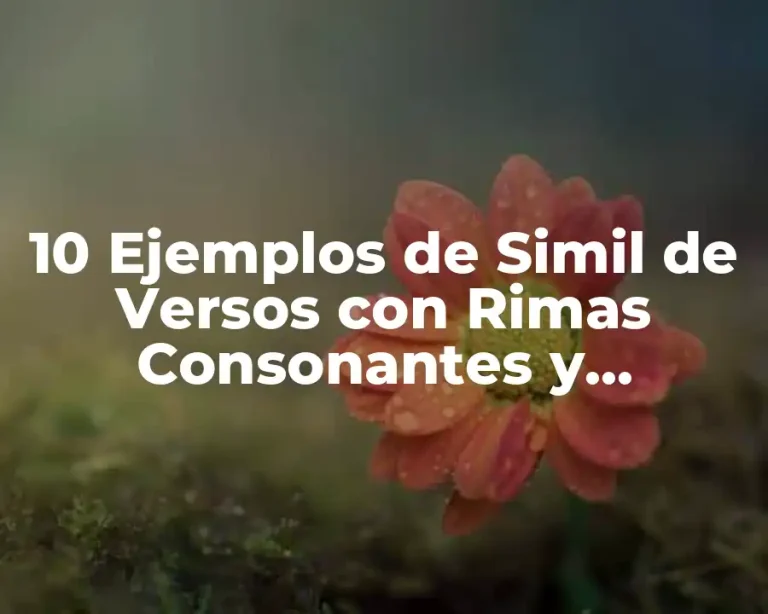 10 Ejemplos de Simil de Versos con Rimas Consonantes y Asonantes, Definición, Diferencias y para que sirve