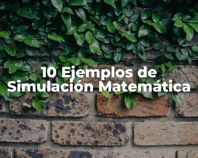 10 Ejemplos de Simulación Matemática
