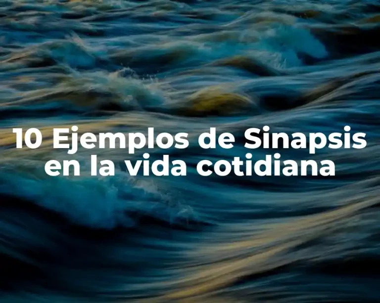 10 Ejemplos de Sinapsis en la vida cotidiana