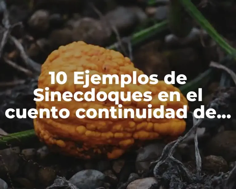 10 Ejemplos de Sinecdoques en el cuento continuidad de los parques