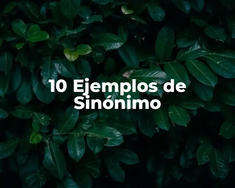 10 Ejemplos de Sinónimo