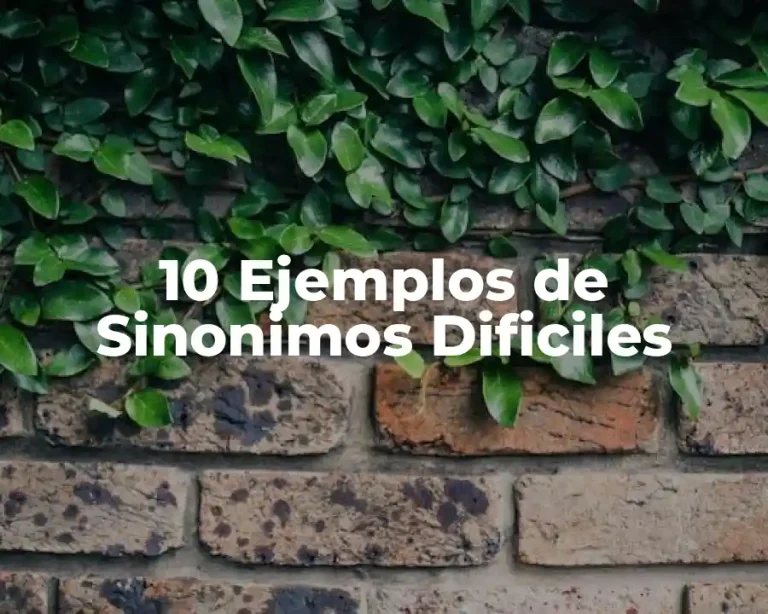 10 Ejemplos de Sinonimos Dificiles