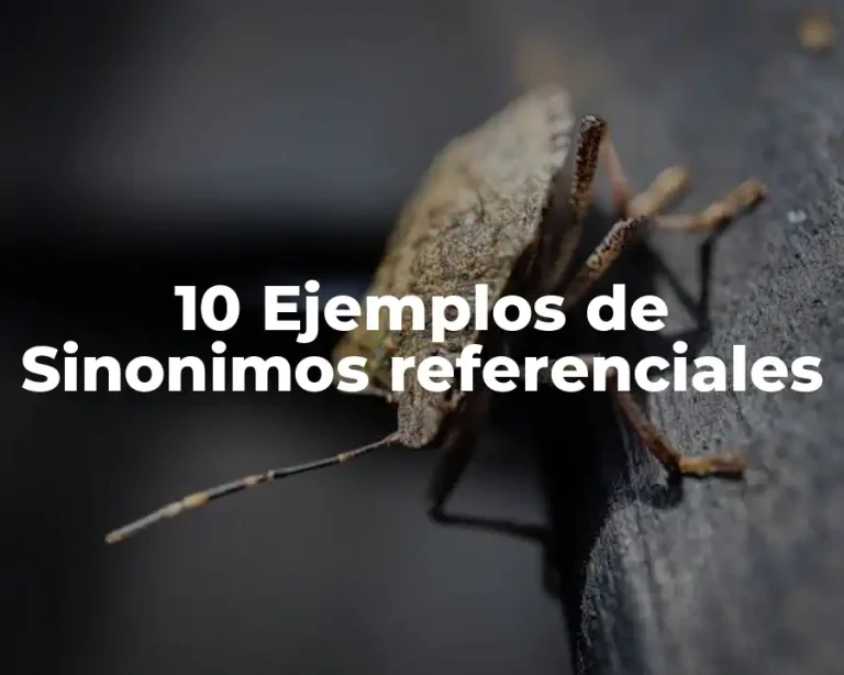 10 Ejemplos de Sinonimos referenciales