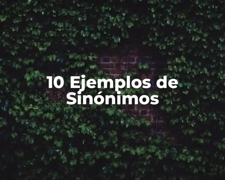 10 Ejemplos de Sinónimos