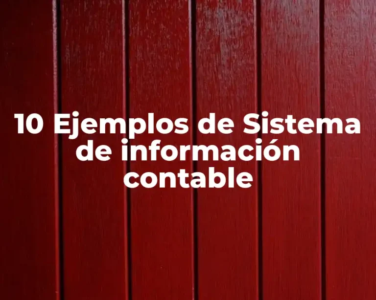 10 Ejemplos de Sistema de información contable