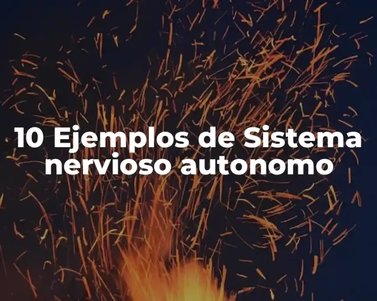 10 Ejemplos de Sistema nervioso autonomo