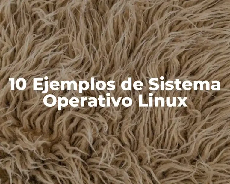 10 Ejemplos de Sistema Operativo Linux