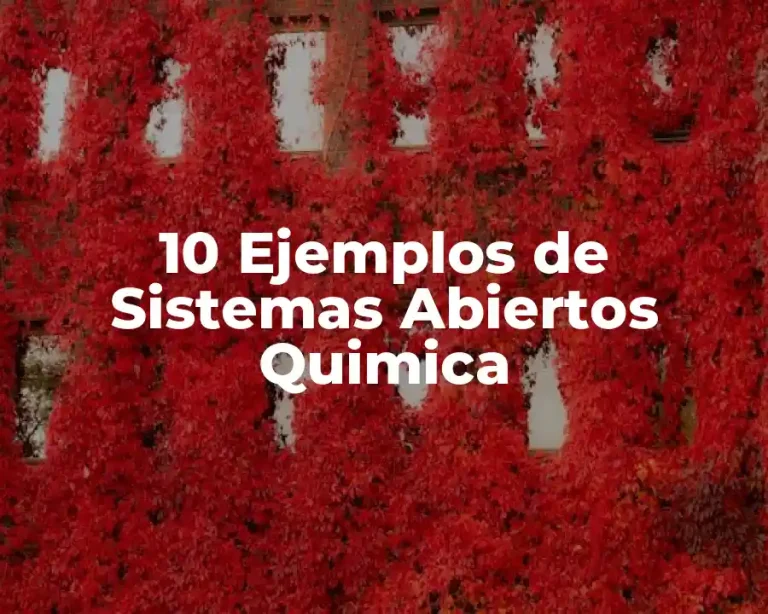 10 Ejemplos de Sistemas Abiertos Quimica