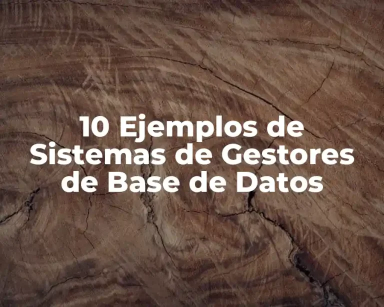 10 Ejemplos de Sistemas de Gestores de Base de Datos
