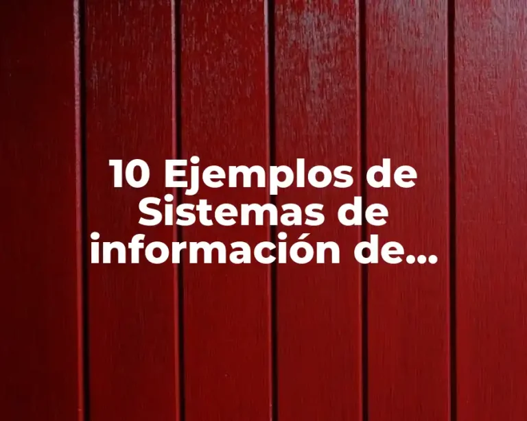 10 Ejemplos de Sistemas de información de mercadotecnia de una empresa