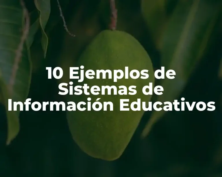 10 Ejemplos de Sistemas de Información Educativos