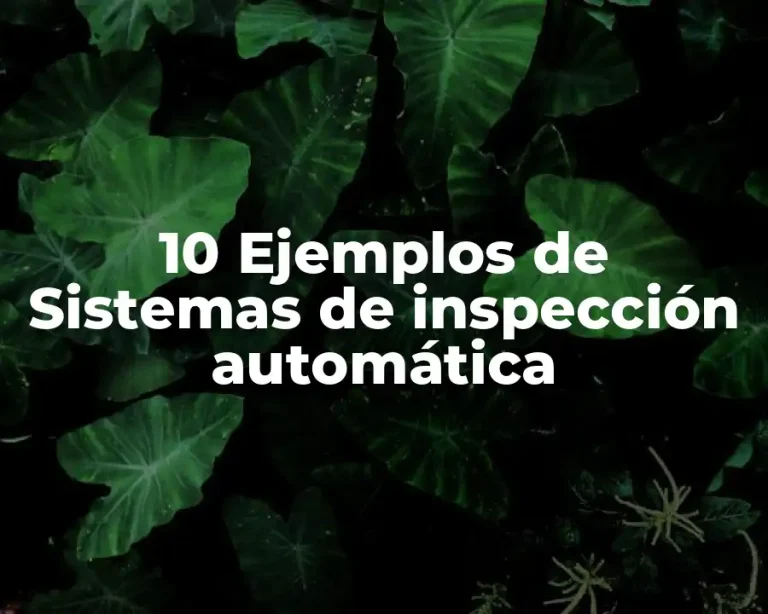 10 Ejemplos de Sistemas de inspección automática