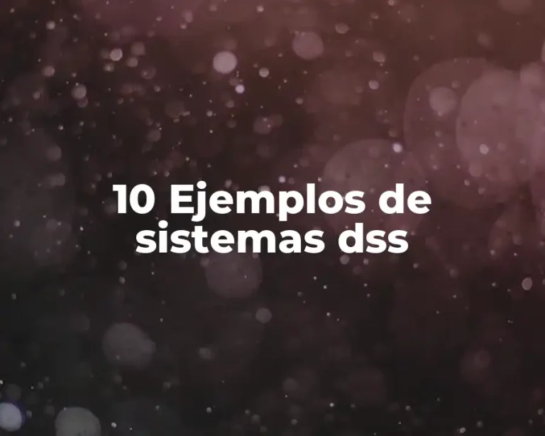 10 Ejemplos de sistemas dss