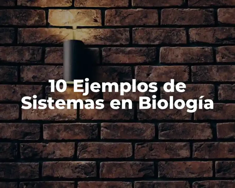 10 Ejemplos de Sistemas en Biología