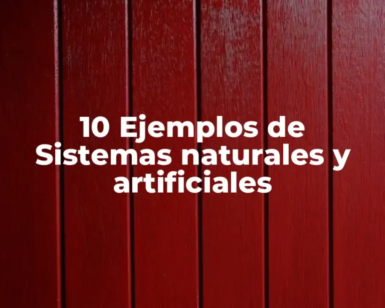 10 Ejemplos de Sistemas naturales y artificiales