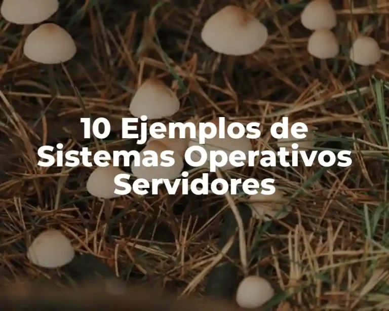 10 Ejemplos de Sistemas Operativos Servidores