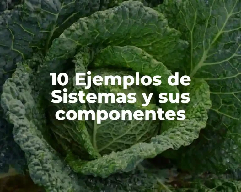 10 Ejemplos de Sistemas y sus componentes