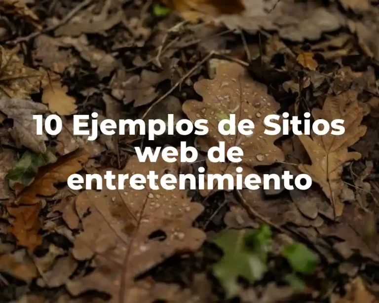 10 Ejemplos de Sitios web de entretenimiento