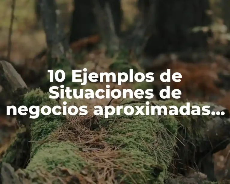 10 Ejemplos de Situaciones de negocios aproximadas a la competencia perfecta