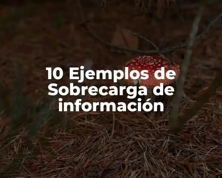 10 Ejemplos de Sobrecarga de información