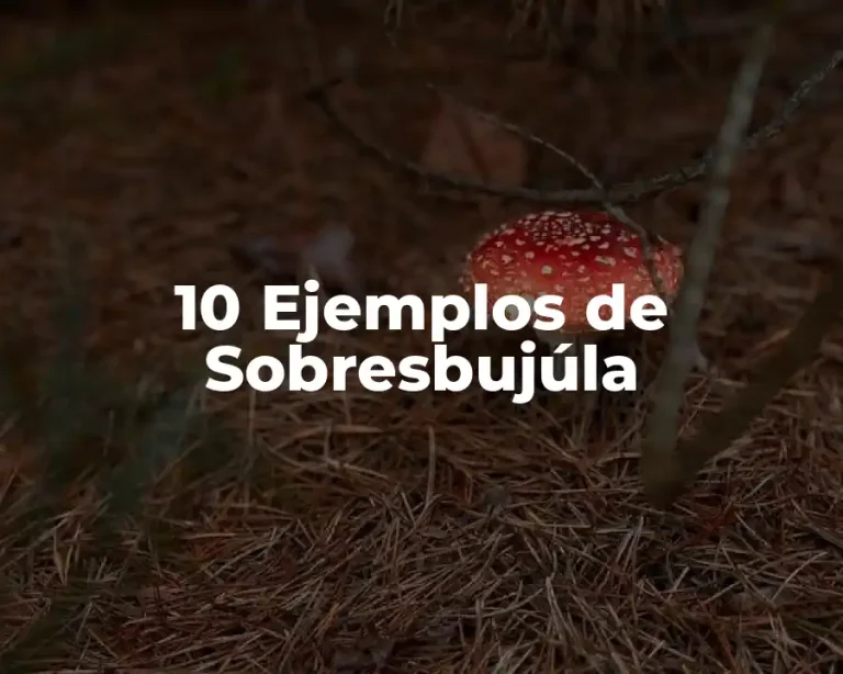 10 Ejemplos de Sobresbujúla