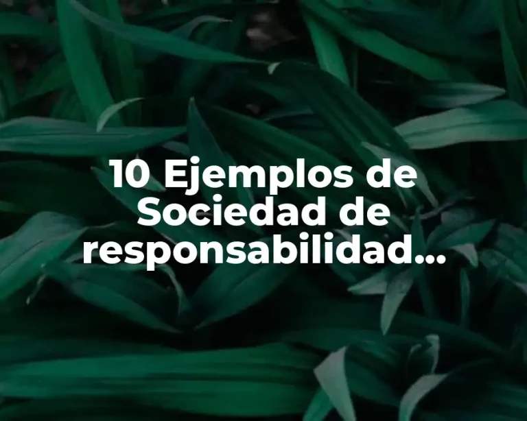 10 Ejemplos de Sociedad de responsabilidad limitada en Costa Rica