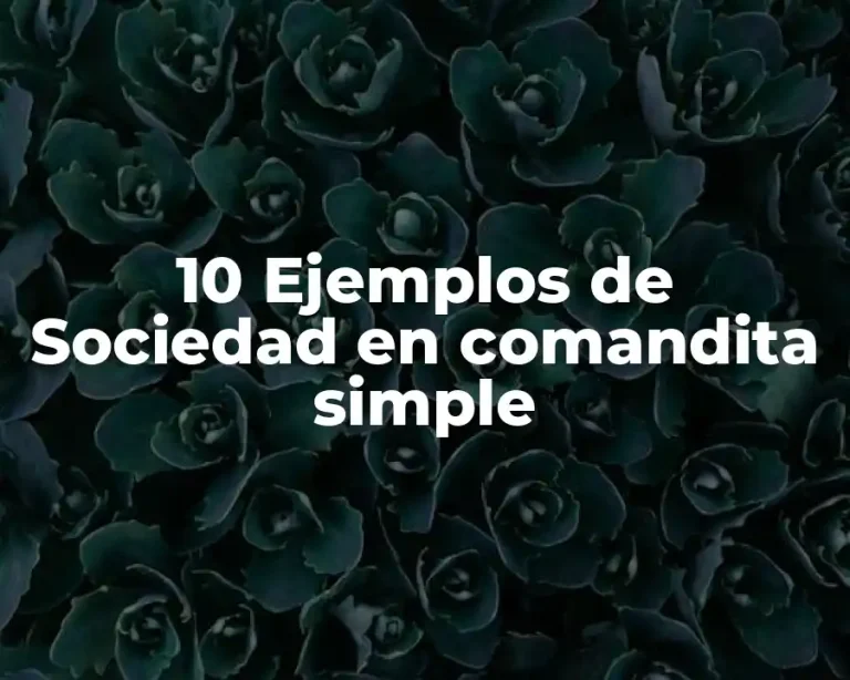 10 Ejemplos de Sociedad en comandita simple
