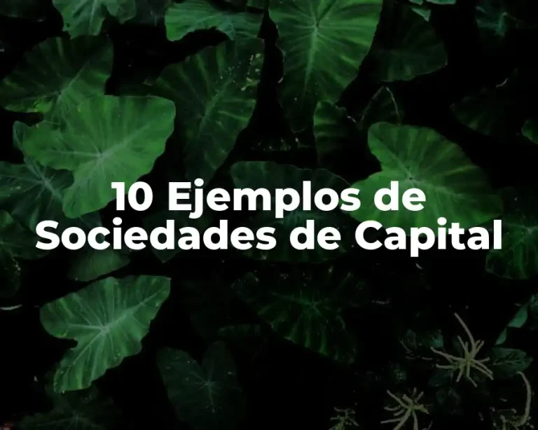 10 Ejemplos de Sociedades de Capital