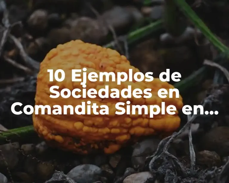 10 Ejemplos de Sociedades en Comandita Simple en México