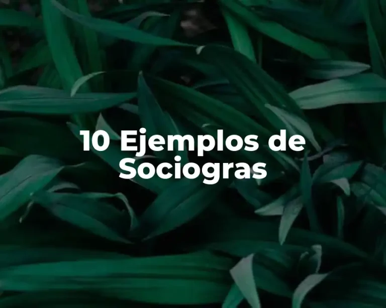 10 Ejemplos de Sociogras