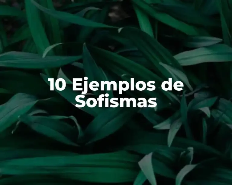 10 Ejemplos de Sofismas