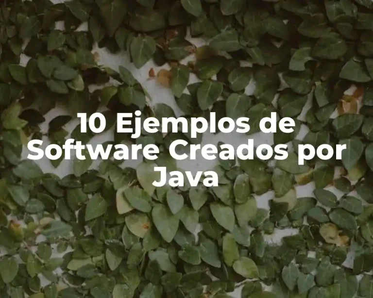 10 Ejemplos de Software Creados por Java