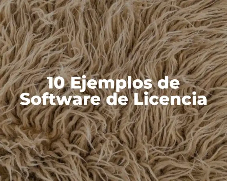 10 Ejemplos de Software de Licencia