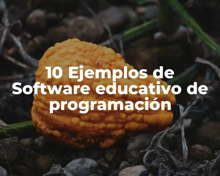 10 Ejemplos de Software educativo de programación