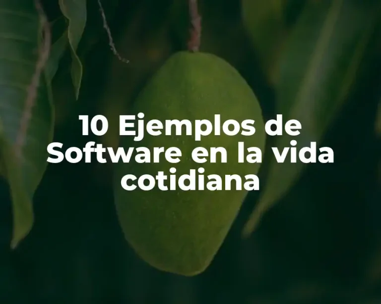 10 Ejemplos de Software en la vida cotidiana