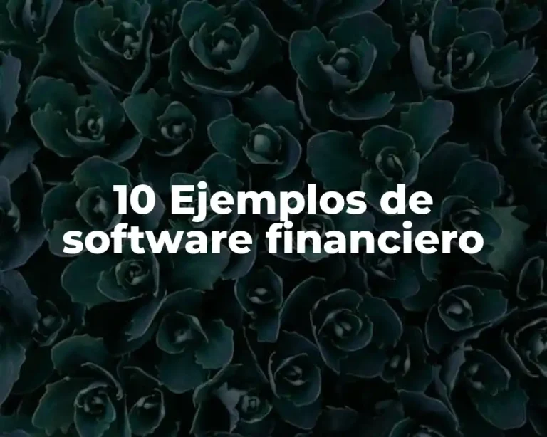 10 Ejemplos de software financiero