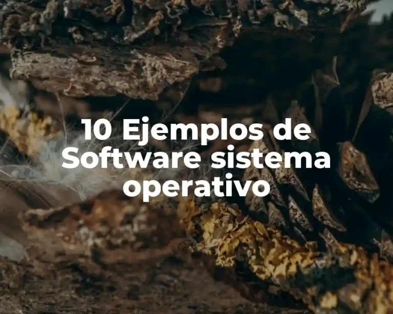 10 Ejemplos de Software sistema operativo