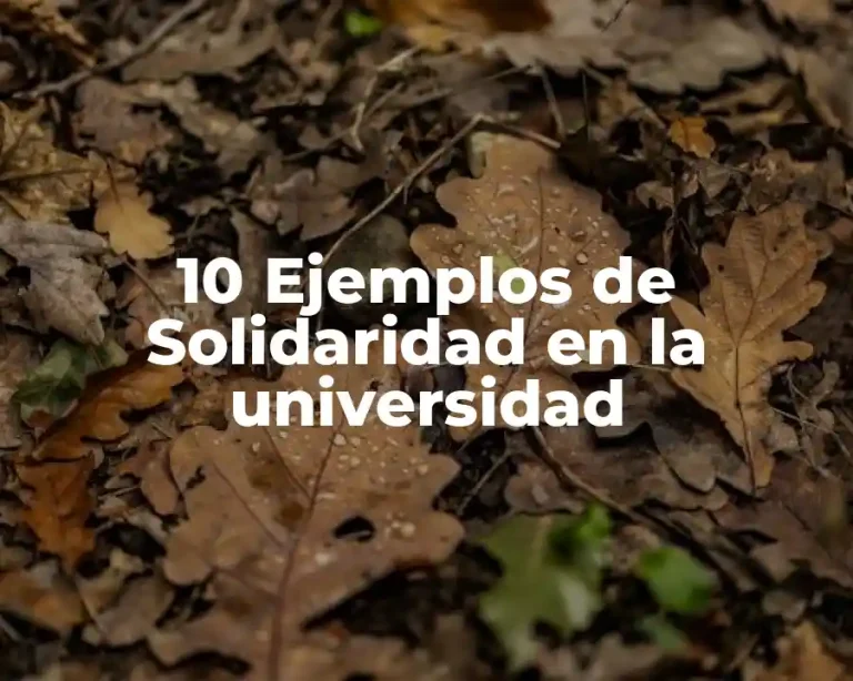10 Ejemplos de Solidaridad en la universidad