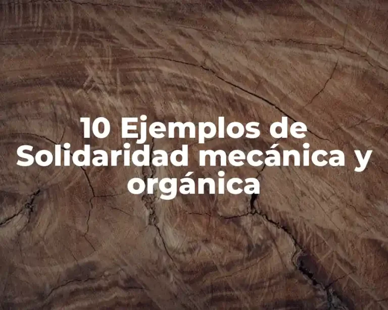 10 Ejemplos de Solidaridad mecánica y orgánica