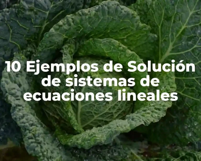 10 Ejemplos de Solución de sistemas de ecuaciones lineales