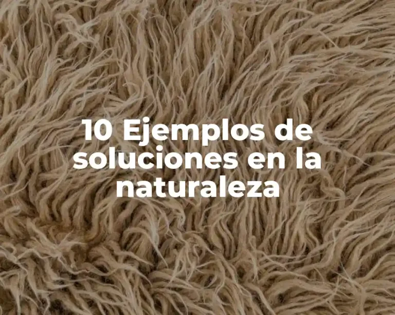10 Ejemplos de soluciones en la naturaleza