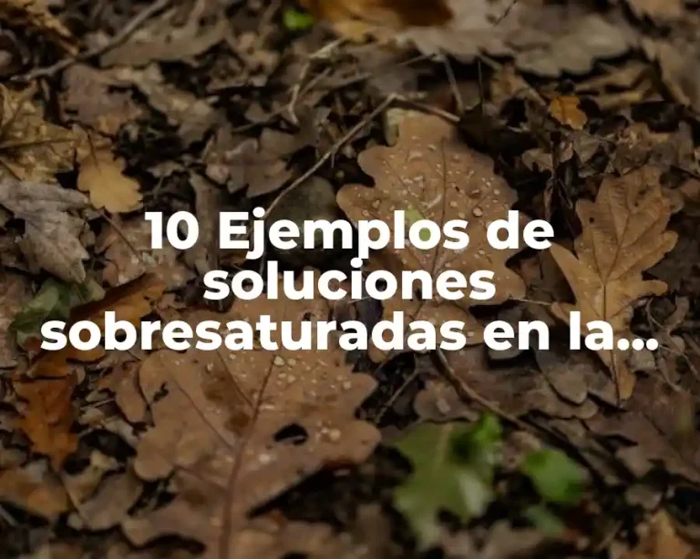 10 Ejemplos de soluciones sobresaturadas en la cocina