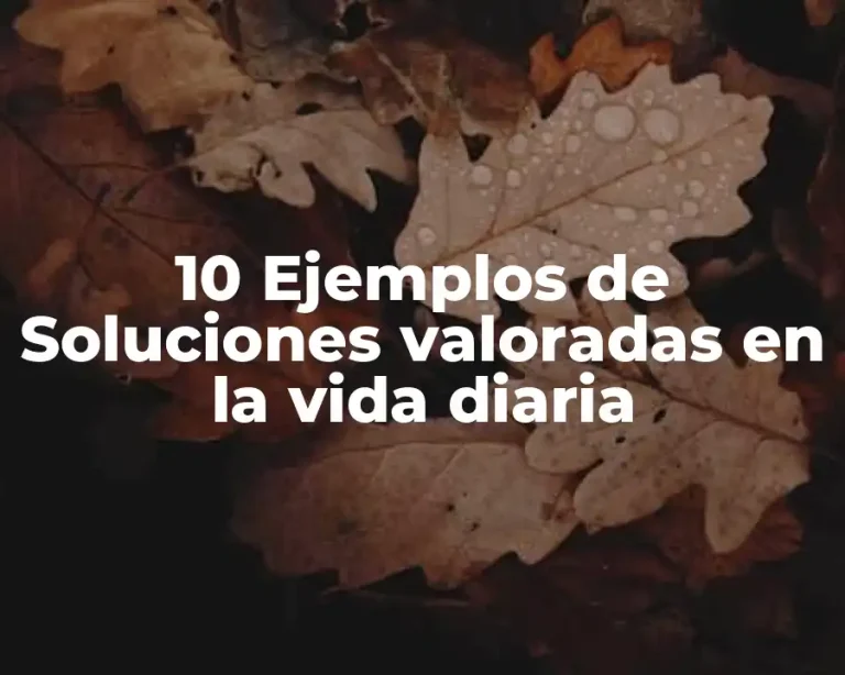 10 Ejemplos de Soluciones valoradas en la vida diaria
