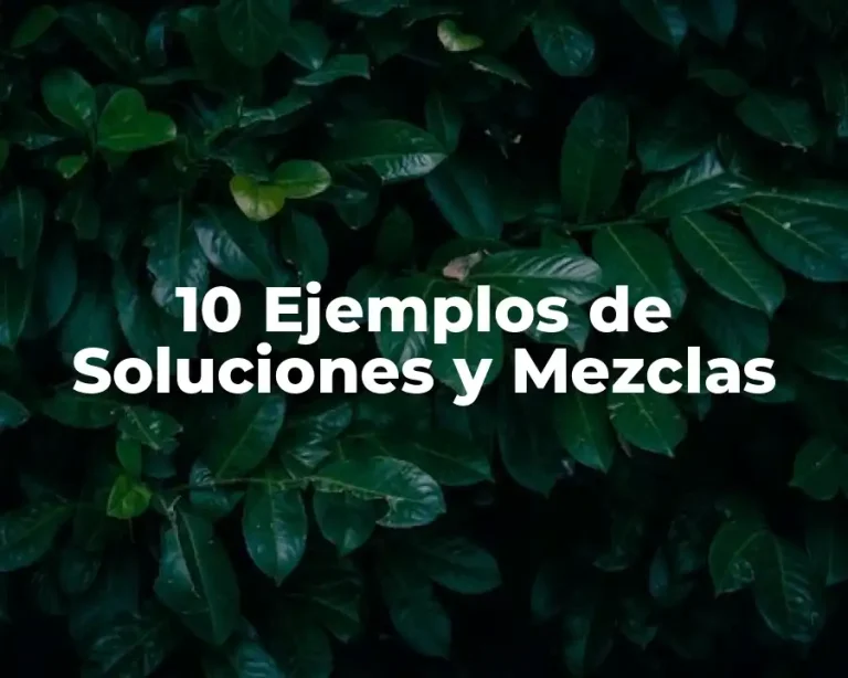 10 Ejemplos de Soluciones y Mezclas