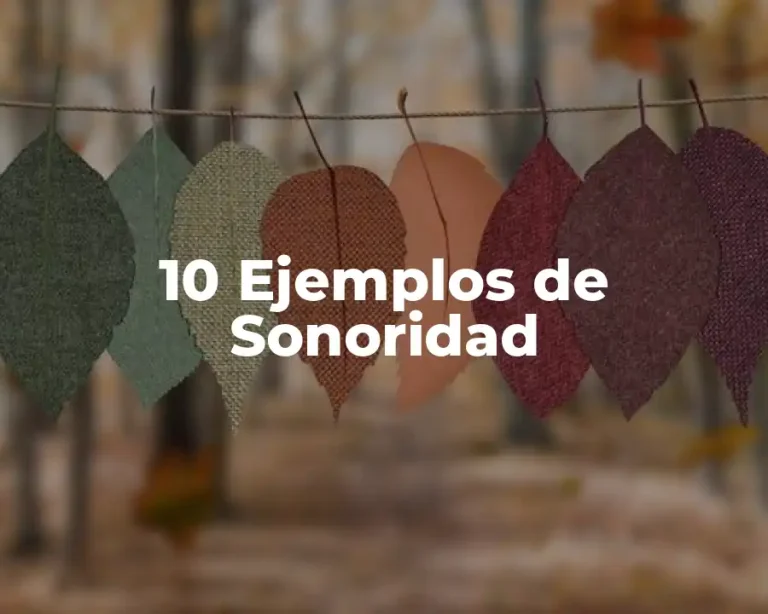 10 Ejemplos de Sonoridad