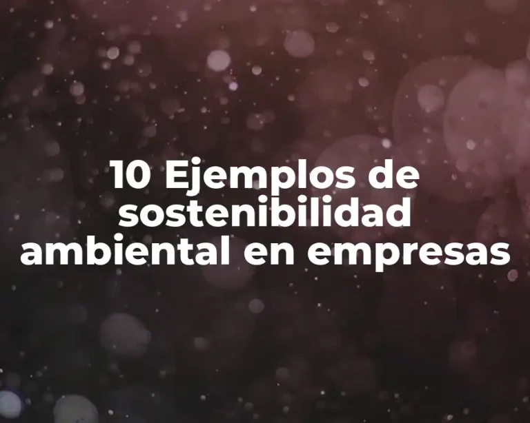 10 Ejemplos de sostenibilidad ambiental en empresas