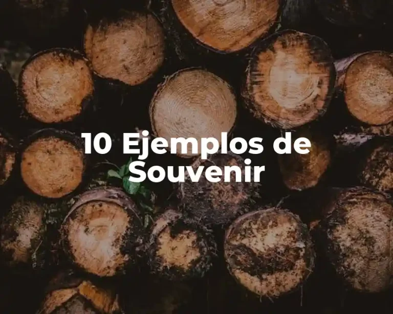 10 Ejemplos de Souvenir