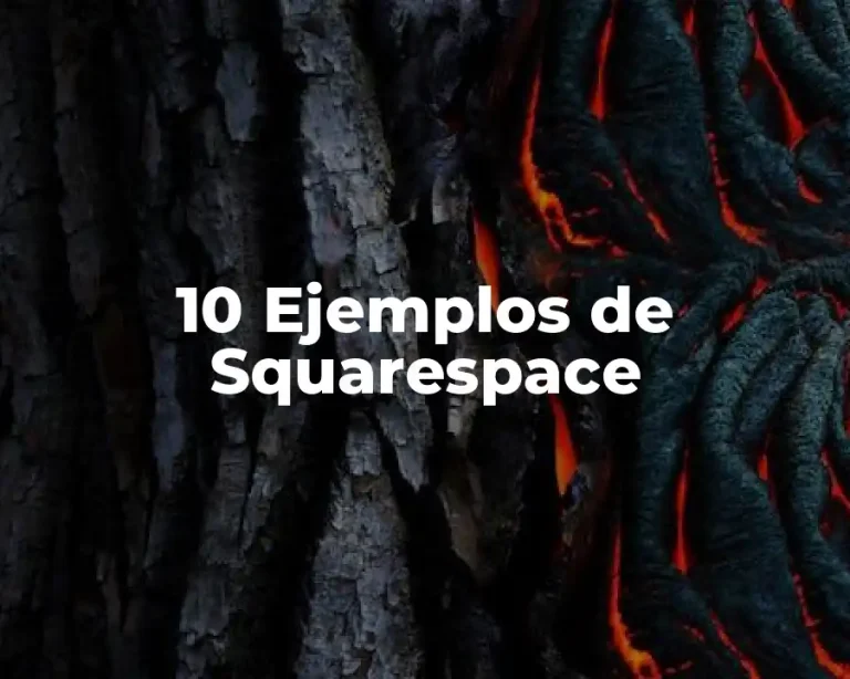 10 Ejemplos de Squarespace